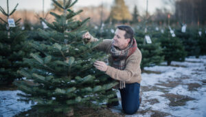 scopri i consigli dell'esperto per scegliere e acquistare il perfetto albero di natale vero, garantendo qualità e freschezza per le tue festività.